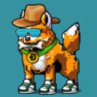 DogePunks #4911