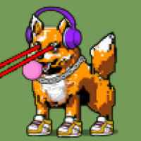 DogePunks #2700