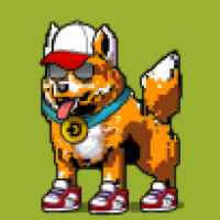 DogePunks #1314