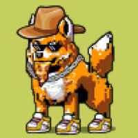 DogePunks #4452