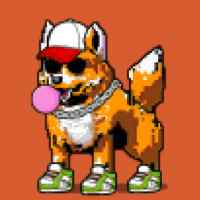 DogePunks #4579