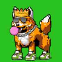 DogePunks #565