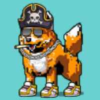 DogePunks #441