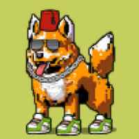 DogePunks #3596