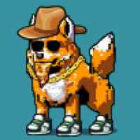 DogePunks #1234