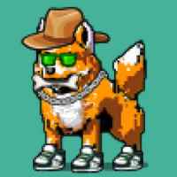 DogePunks #4851