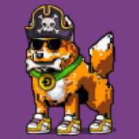 DogePunks #2019