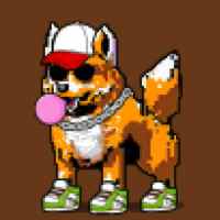 DogePunks #2232