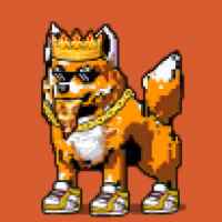 DogePunks #1233