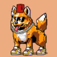 DogePunks #1762