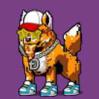 DogePunks #1897