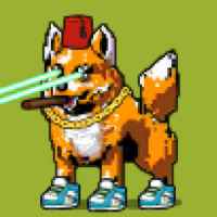 DogePunks #496