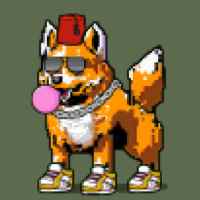 DogePunks #3002