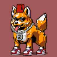 DogePunks #3205