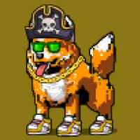 DogePunks #3335
