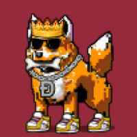 DogePunks #362