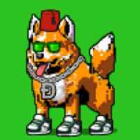 DogePunks #1713