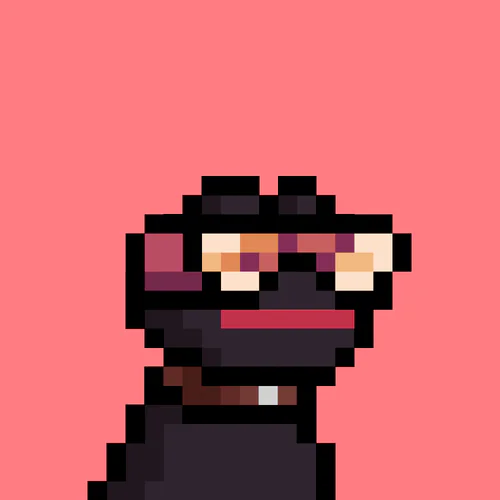 Doginal Frog #5100