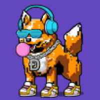 DogePunks #3716
