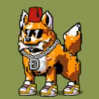 DogePunks #2809