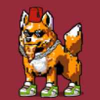 DogePunks #773
