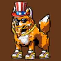DogePunks #1752