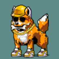 DogePunks #1050