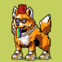 DogePunks #1166