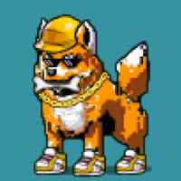 DogePunks #4439