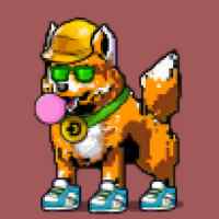 DogePunks #4818