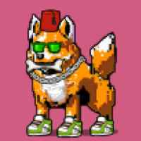 DogePunks #1061