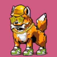 DogePunks #2785