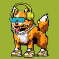 DogePunks #4100