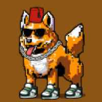 DogePunks #766