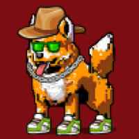 DogePunks #4084