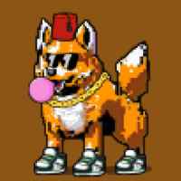 DogePunks #2520