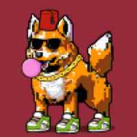 DogePunks #1672