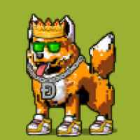 DogePunks #1269