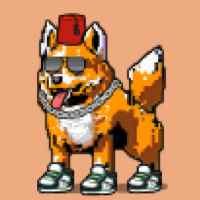 DogePunks #3786