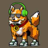 DogePunks #2849