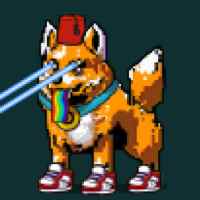 DogePunks #2893