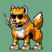 DogePunks #2125