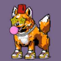 DogePunks #1911