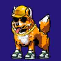 DogePunks #2213
