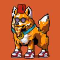 DogePunks #2618