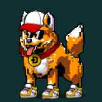 DogePunks #2996