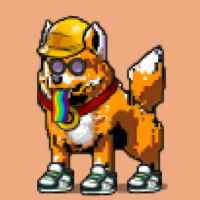 DogePunks #4865