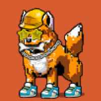 DogePunks #730