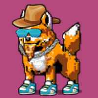 DogePunks #4808
