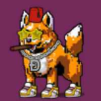 DogePunks #2955